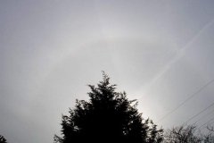 20060211_1124ut_sunhalo_vwilliams_20090706_1170799803