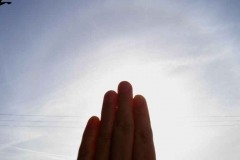 20060217_1139ut_sunhalo_vwilliams0_20090706_1375354695