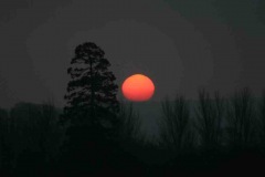 20071221_sunrise_killyleagh_stronge_20090704_1059810150
