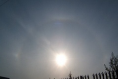 amazing_nature_20090630_1828917856