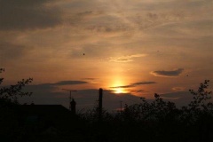 solar_pillar_with_birds_20090630_1764490801