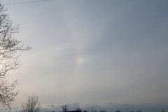 western_sundog_20090630_1601862315