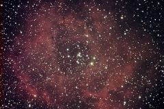 20061101_110ut_rosette_krooney_20090701_1226344349