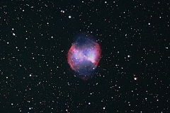 M 27 Dumbell 5off 8min April15 LH