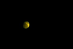 20051227_mars_campbell_20090701_1145505763