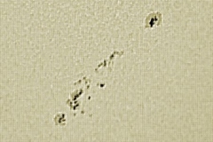 20040323_1620_sunspots_20090701_1356235188