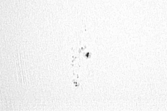 20040526_sunspot618_gault_20090701_1726349994