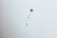 200408021304_sunspots_20090701_2098431212