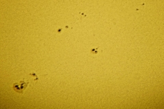 20060404_sunspots865_vkelly_20090701_1002148295