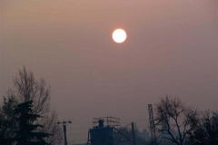 20061211_nakedeyesunspot_gornall_medium_20090701_1717673255