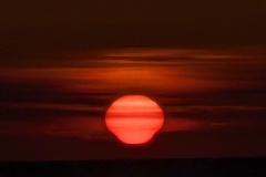 PXL_20250508_201106758