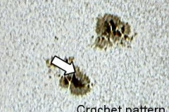 crochet_pattern_20090701_1539851541