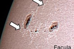 facula_20090701_1156599379