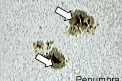 penumbra_20090701_2031063029