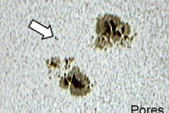 pores_20090701_1761422389